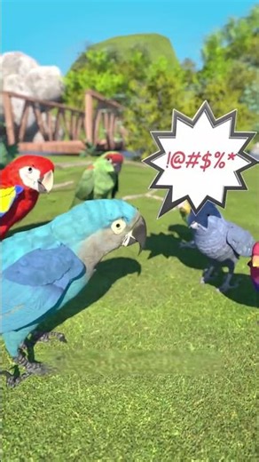 Why Parrots Repeat Curse Words — And How They Can Teach Entire Bird Flocks #shorts