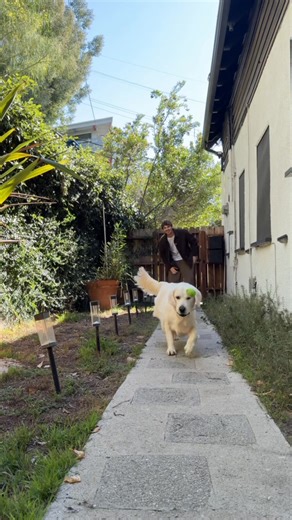 Fresh food has incredible benefits for dogs, both inside and out. Get 50% off your first box and experience them with your dog! | The Farmer's Dog