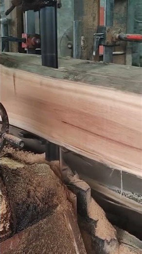 the process of splitting a tree trunk using a sawmill machine #shorts