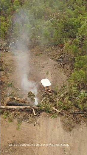 Unchecked destruction: Australia's deforestation problem