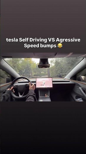 Tesla Self Driving VS Aggressive Speed Bumps #automobile