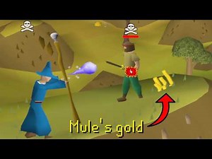 At 12:01 AM Every Night I’m in a War with this Bot Farm