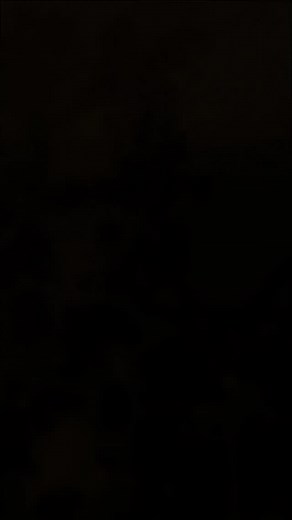 As the Season Softens The season softens, and so does the rhythm of life on the homestead. The garden, quiets, the colors deepen, and each task slows to match the gentle turning of autumn. A moment to pause, breathe, and simply be - held in the calm of the changing season. #simplelife #homestead | Kern River Permaculture | Facebook