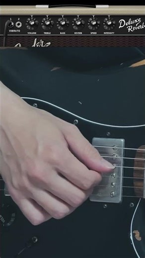 #05 Deluxe Reverb | Fender Tone Master Pro