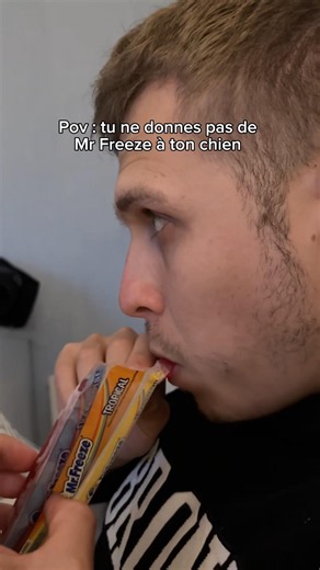 Mon chien est fou des mister freeze 😭