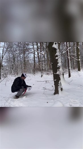 AM ENDE 😱 #spongebob #gruselig #fürdich