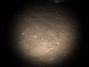 Team Fortress 2 Horror Movie: Engineer's Terrifying Adventure