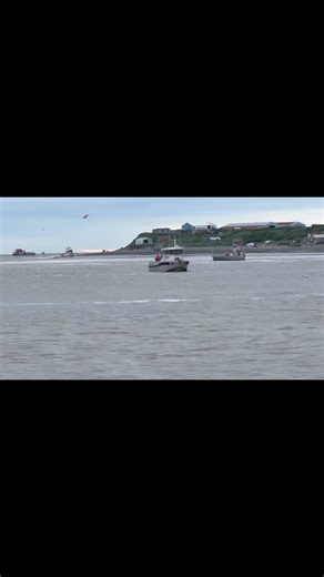 Egegik⚓️ #bristolbay #Alaska | Bristol Bay Boat Club