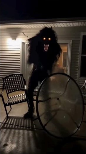 My Patio Camera Filmed a Creature Last Night #shorts