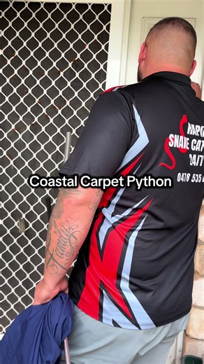 Coastal Carpet Python relocated from a property in Forest lake, QLD. 🐍Covering the entire Ipswich Region, Scenic Rim, Lockyer Valley, Somerset and all surroundings 24/7. 📲0478 535 687 #rapidsnakecatchers247 #lockyervalleysnakecatchers #ipswichsnakecatchers #fyp #coastalcarpetpython