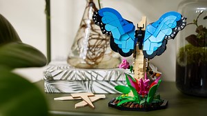 LEGO Ideas 21342 The Insect Collection revealed