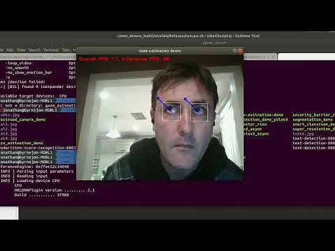 OpenVino Gaze Tracking