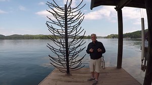 2.4K views · 32 reactions | The ideal fish habitat to suspend around your dock. Proud to be an #AmericanFishTreepartner American Fish Tree | Timmy Horton Outdoors | Facebook