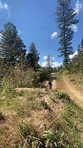 Let's Ride and Start Stretching