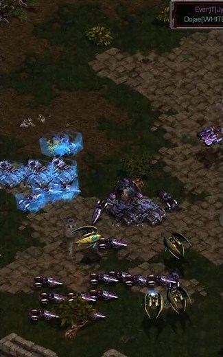 Best using dark archons against TERRAN? | #starcraftremastered #gaming #falconpaladin #broodwar