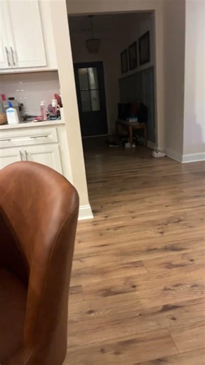 Tutorial??? #greenscreen #trending #wishiknew #shorts #funnymemes