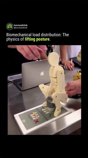 Luxury = Money & Power on Instagram: "Your spine is a high-performance cantilever system.This anatomical model demonstrates the stark difference in mechanical stress between a "lumbar lock" and a rounded spine. When you lift with a curved back, you are not just using your muscles; you are transforming your vertebrae into a focal point for extreme compressive force. By maintaining a neutral spine and hinging at the hips, the load is distributed across the posterior chain—the body's most powerful 