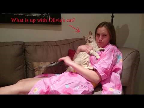 Year 11 Girls Blueprint Film 2016