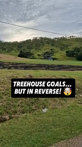 Tree House 🏠🤯 . . 🎥Creed Bee #tree #treehouse #papuanewguinea #architecture #homestyling #HomeImprovement | What's Good PNG?