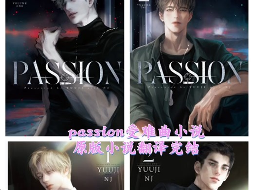 passion原版小说台版翻译完结