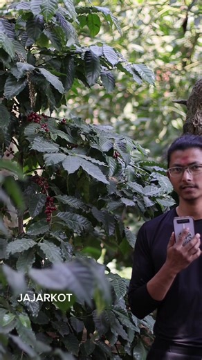 Farm Visit: Celebrating the Harvest Season