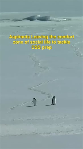 READ RIGHT INSTITUTE on Instagram: "Who thought penguins can’t be relatable? Are you becoming a penguin for CSS 2026? Tell us in the comments! #readrightinstitute #CSS #pakistan #trending #nihilistpenguin"