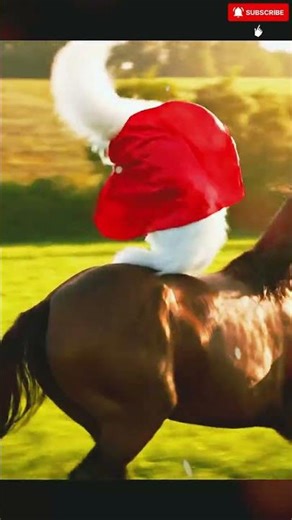 Stylish White Cat Performs Stunts on a Galloping Horse#catlovers#horseriding #cat