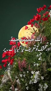 4.3K views · 1.5K reactions | #MADINA | Royal Properties & Developers | Facebook