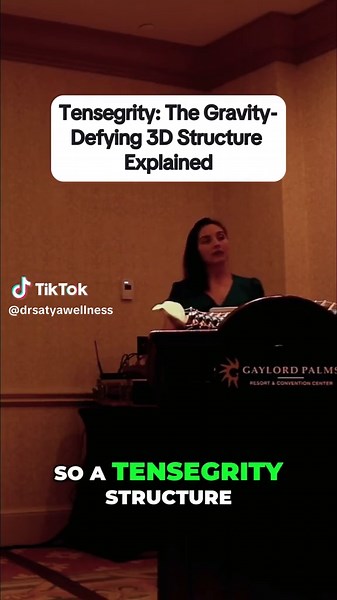 Tensegrity_ The Gravity-Defying 3D Structure Explained