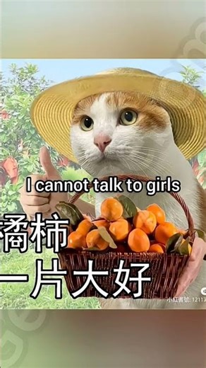 Ching Chong song credit: georgieebom