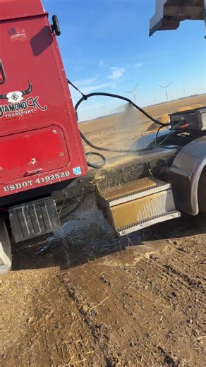 The 3 Different Meanings of "Mean" You Need to Know