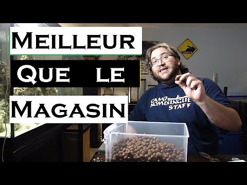 Filtration aquarium d'eau douce (tutoriel) comment faire?