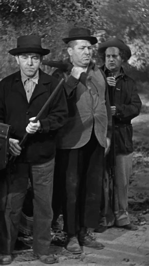 The Three Stooges Try Hunting