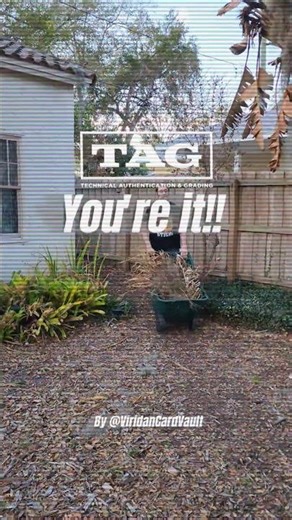 TAG! You're it! | Episode 1 #pokemon #pokemontcg #taggrading