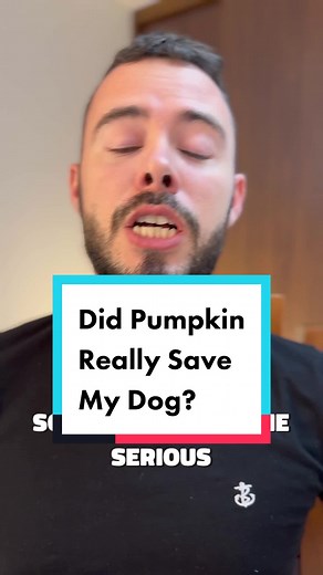 Natural Remedies for Dog Diarrhea: Rice and Pumpkin