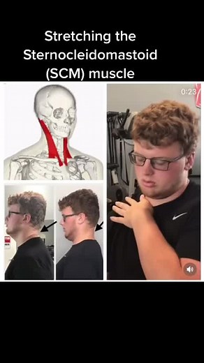 lisasemientx on TikTok