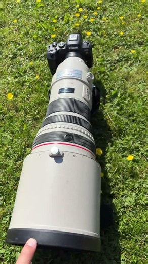 Canon R6 mark II + Canon EF 400mm F/2.8L IS USM #canon #canonr6markii #canonr6mkII #400mmf28LIS