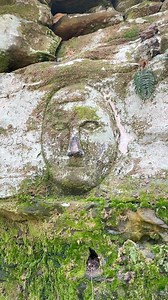 Come hike Worden’s Ledges with us! Walk the trails to discover unique, hand-carved sculptures etched into the stunning sand ledges. The trails seem otherworldly with its giant rock formations and beautiful greenery. We seem to discover a new carving that we missed the time before with each visit. The carvings by Noble Stuart are a mix of historical figures and people from Stuart’s life. This captivating loop trail is less than a mile long, making it perfect for you and your family to explore nat