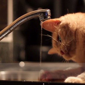 Protect yourself from the hassle of unexpected blocked toilets, drains, showers or sinks with a plumbing protection plan. Low rates and bundles now available! http://bit.ly/2uZHPQg | Enercare