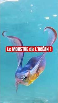 The REAL MONSTER OF THE OCEAN! 🦑 BLANKET OCTOPUS. #animal #unusual #animals