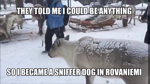 2.5K views · 176 reactions | This reindeer wandered out of nowhere to Santa Claus Reindeer and started hanging around, just being nice and letting people pet him! :) - Henri | Visit Rovaniemi - the Official Hometown of Santa Claus | Facebook