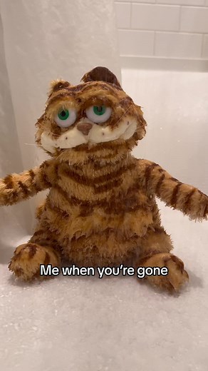 How I Look When You're Gone: Garfield Plush Meme