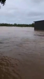 Have a look at Augustus Downs Station in the Gulf Country. Water from Lake Julius, Kamilori and Lorraine Station has arrived! Augustus Downs Station is situated 100 kilometres south of Burketown and 160 kilometres south west of Normanton. The Leichhardt River and numerous tributaries flow through the property. The water peaked last night and they are hoping it will start to subside some time soon. | ABC North West Queensland