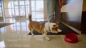 Wyndham Worldwide TV Spot, 'Visiting Home'