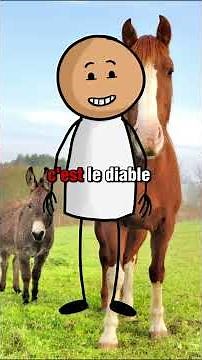 Un cheval et un âne #shorts #videoanimation #humour #blague #drole #sketch
