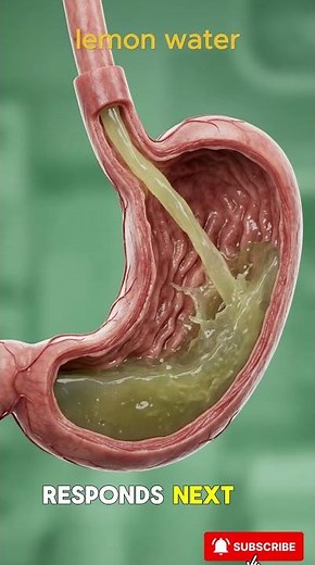 Drink Lemon Water Every Day and THIS Happens to Your Body 🍋 (Shocking Truth)