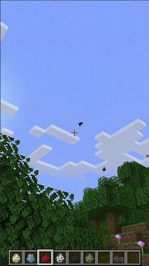 A review of new birds in minecraft