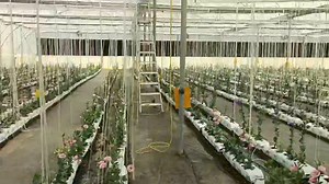 2.7K views · 11 reactions | Agriculture India on Reels | Facebook