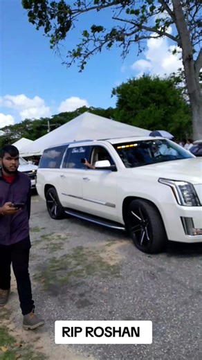 porky (@danielporky8)’s videos with original sound - porky