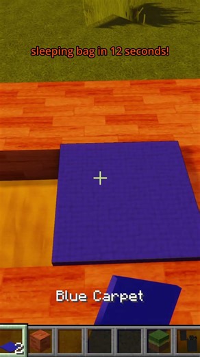 Minecraft Sleeping Bag Tutorial in 12 seconds!